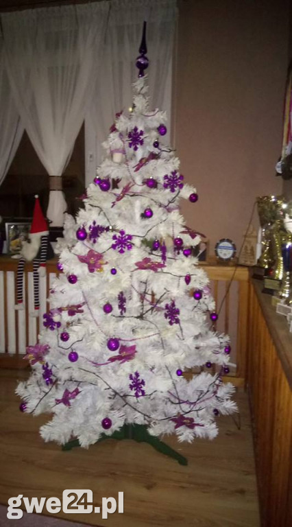 Wasze choinki robią wrażenie [GALERIA ZDJĘC]