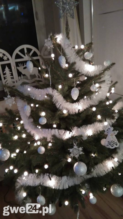 Wasze choinki robią wrażenie [GALERIA ZDJĘC]