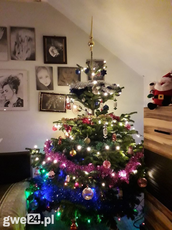 Wasze choinki robią wrażenie [GALERIA ZDJĘC]