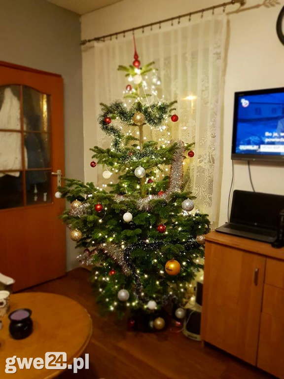 Wasze choinki robią wrażenie [GALERIA ZDJĘC]