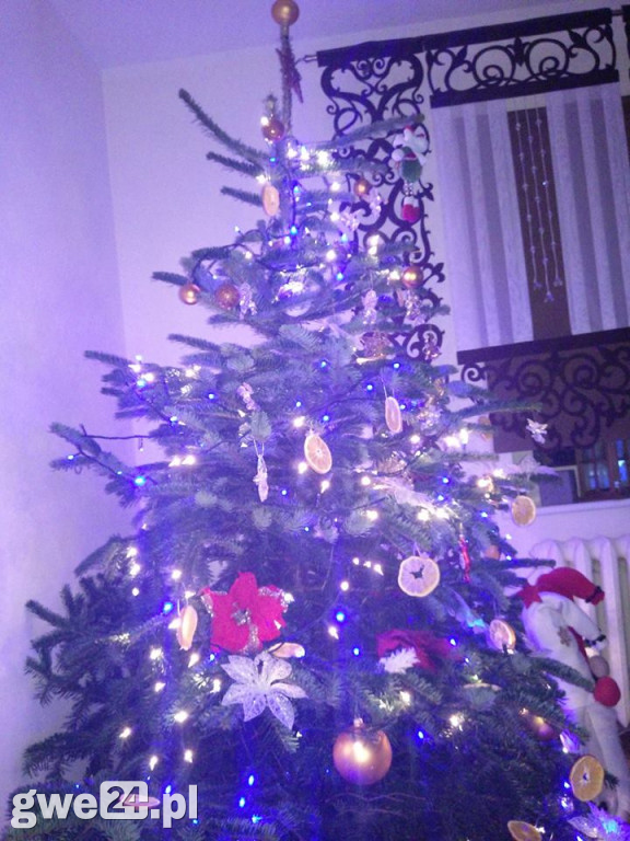 Wasze choinki robią wrażenie [GALERIA ZDJĘC]