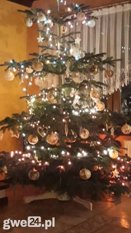 Wasze choinki robią wrażenie [GALERIA ZDJĘC]