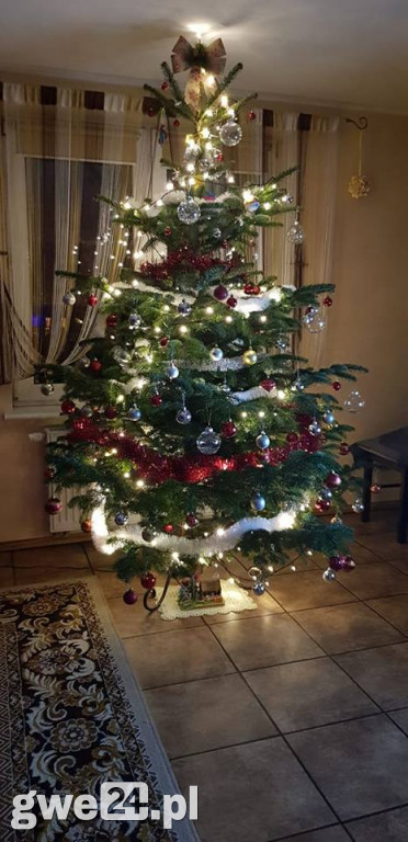Wasze choinki robią wrażenie [GALERIA ZDJĘC]
