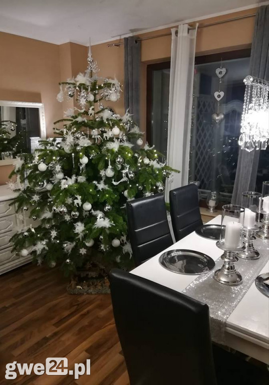 Wasze choinki robią wrażenie [GALERIA ZDJĘC]