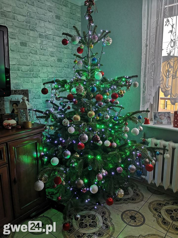 Wasze choinki robią wrażenie [GALERIA ZDJĘC]