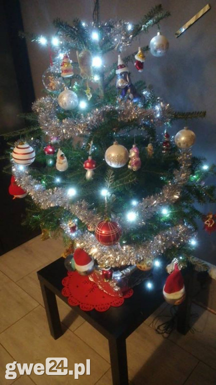 Wasze choinki robią wrażenie [GALERIA ZDJĘC]