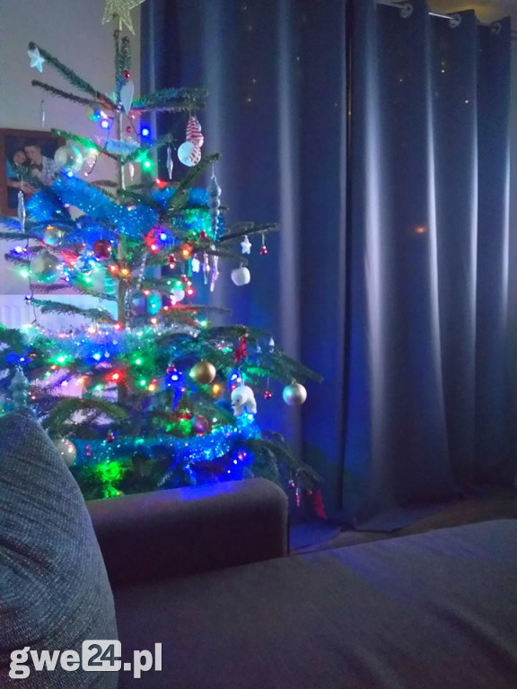 Wasze choinki robią wrażenie [GALERIA ZDJĘC]