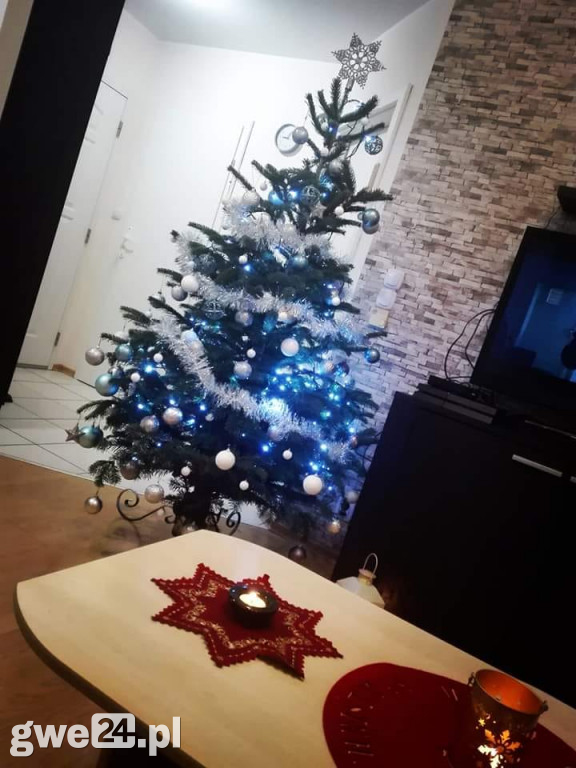 Wasze choinki robią wrażenie [GALERIA ZDJĘC]