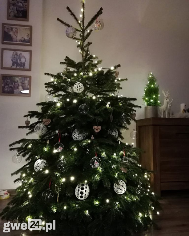 Wasze choinki robią wrażenie [GALERIA ZDJĘC]