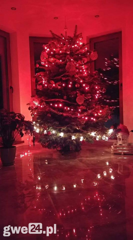 Wasze choinki robią wrażenie [GALERIA ZDJĘC]