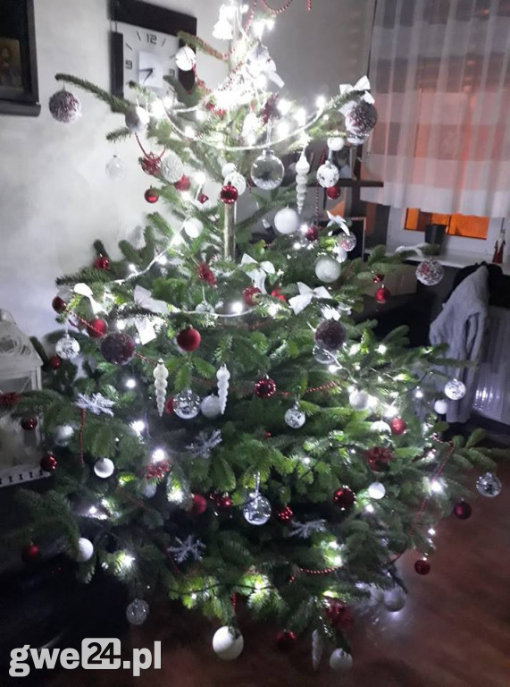 Wasze choinki robią wrażenie [GALERIA ZDJĘC]