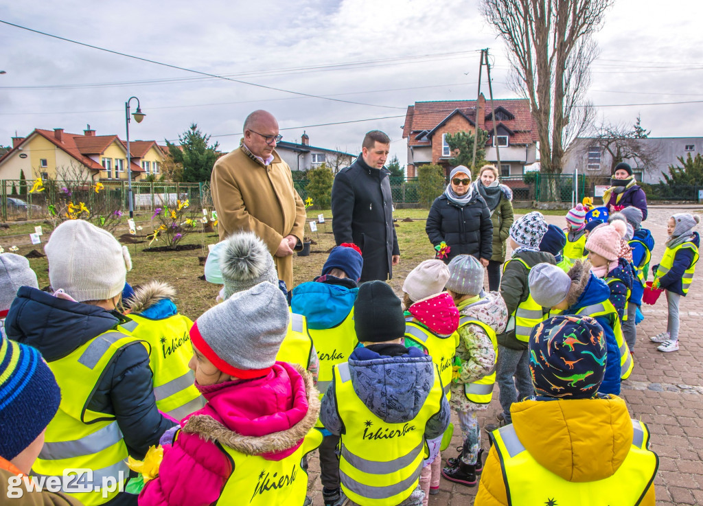 Przywitali wiosnę, sadząc miododajne rośliny