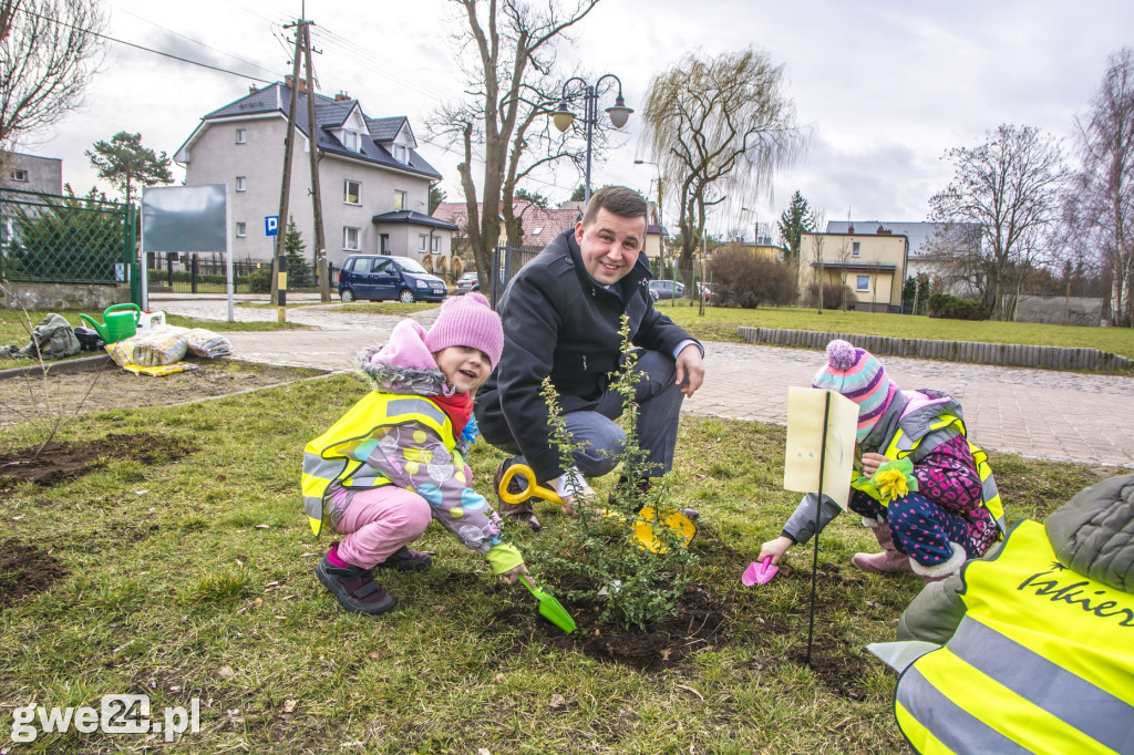 Przywitali wiosnę, sadząc miododajne rośliny