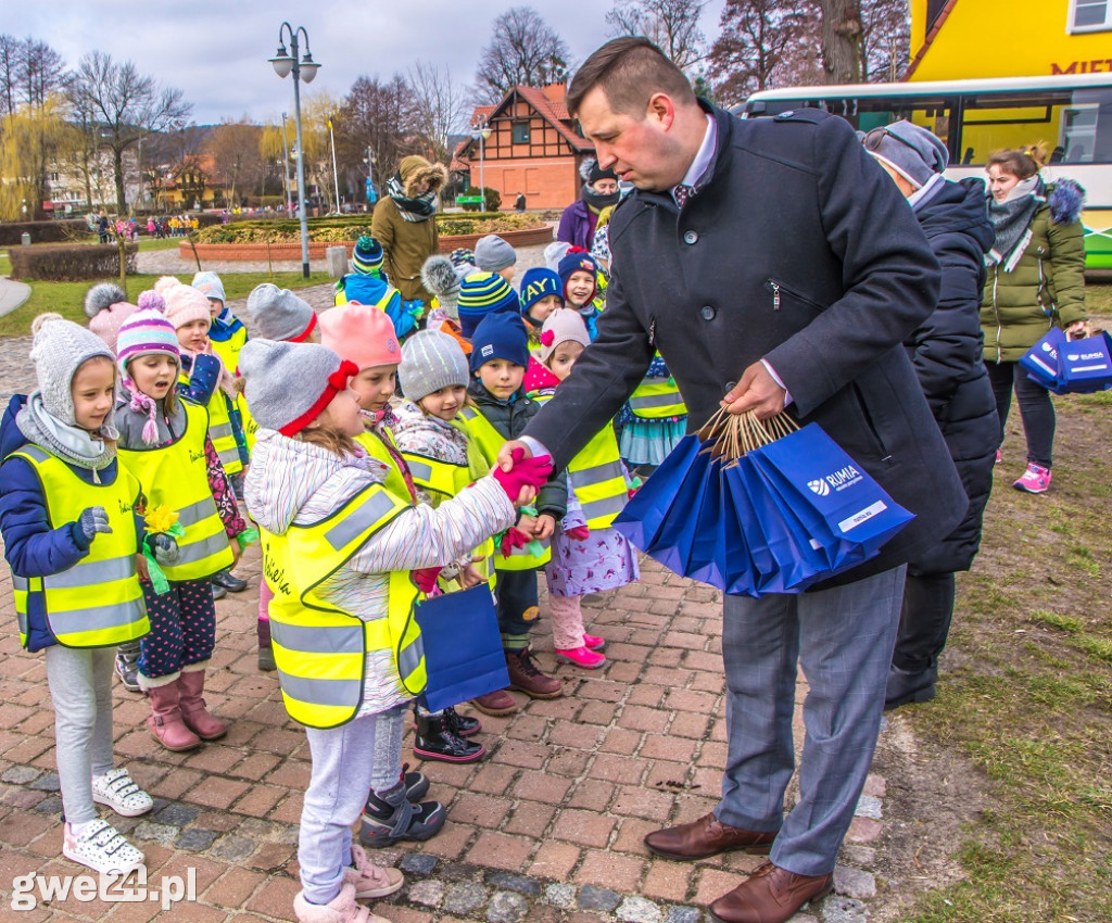 Przywitali wiosnę, sadząc miododajne rośliny