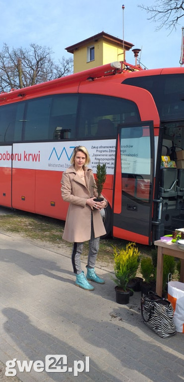 Kolejna udana zbiórka krwi za nami