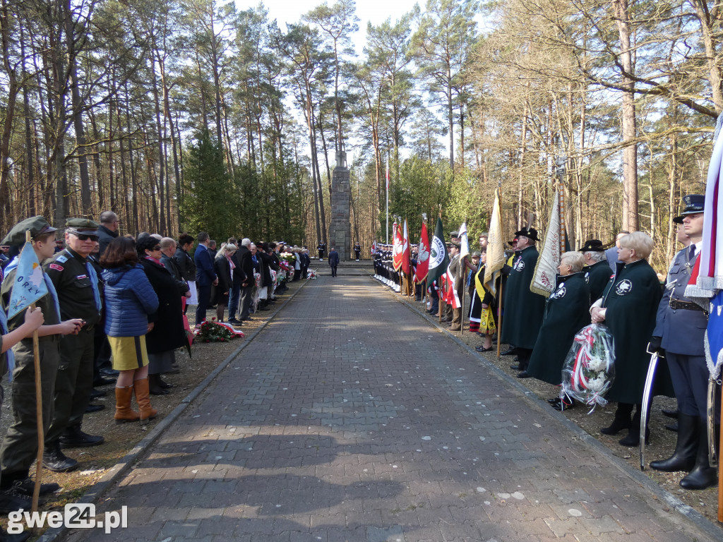 Uroczystość patriotyczna w Piaśnicy
