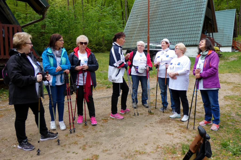 Marsz Nordic Walking Studentów UTW