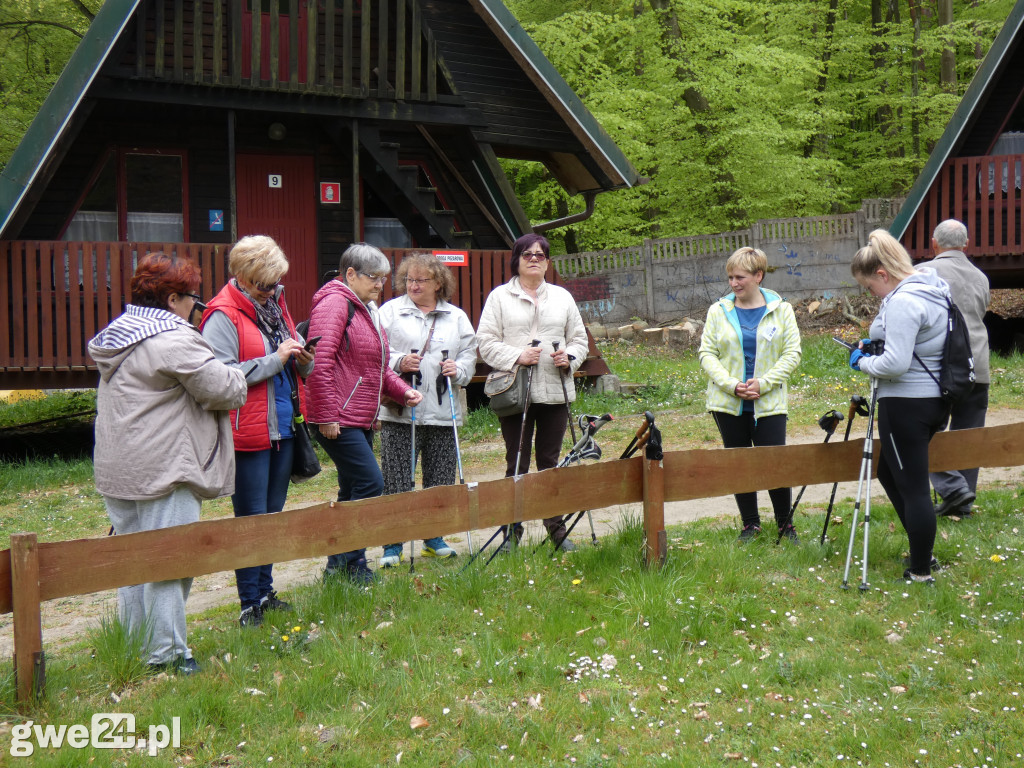 Marsz Nordic Walking Studentów UTW