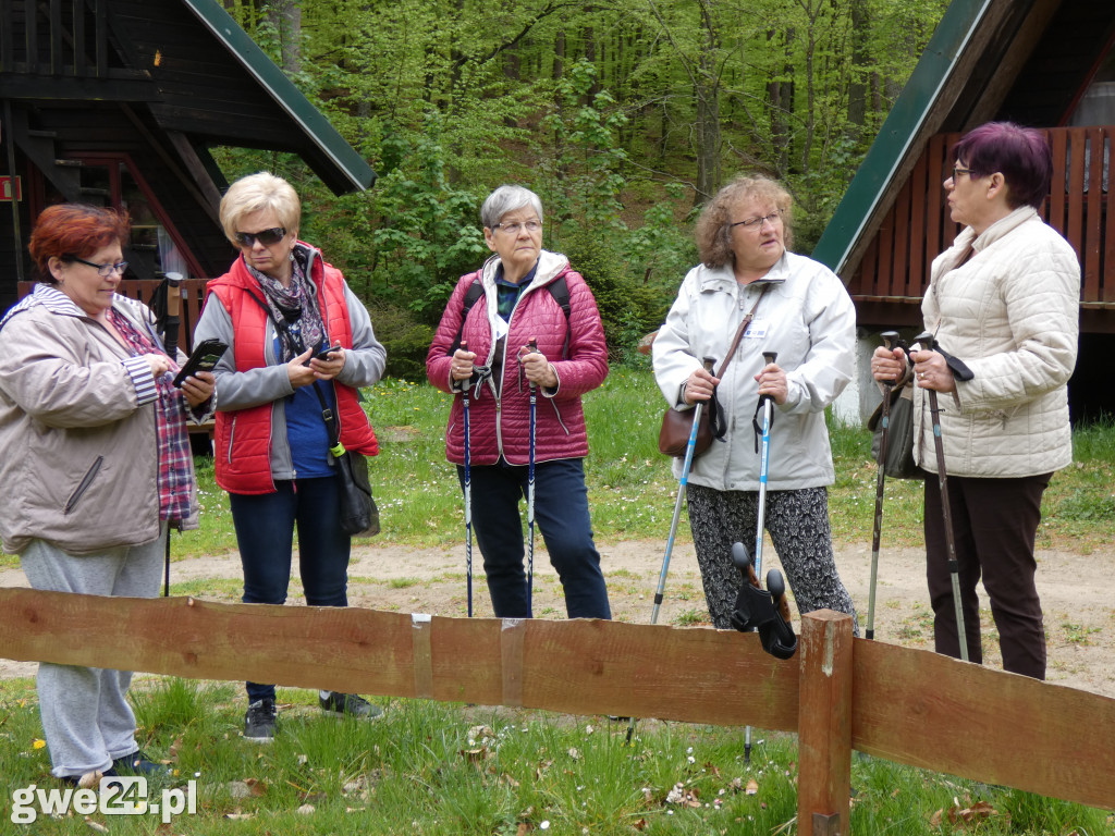 Marsz Nordic Walking Studentów UTW