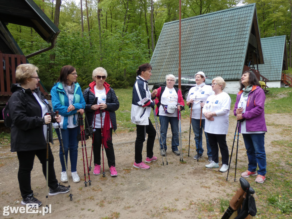 Marsz Nordic Walking Studentów UTW
