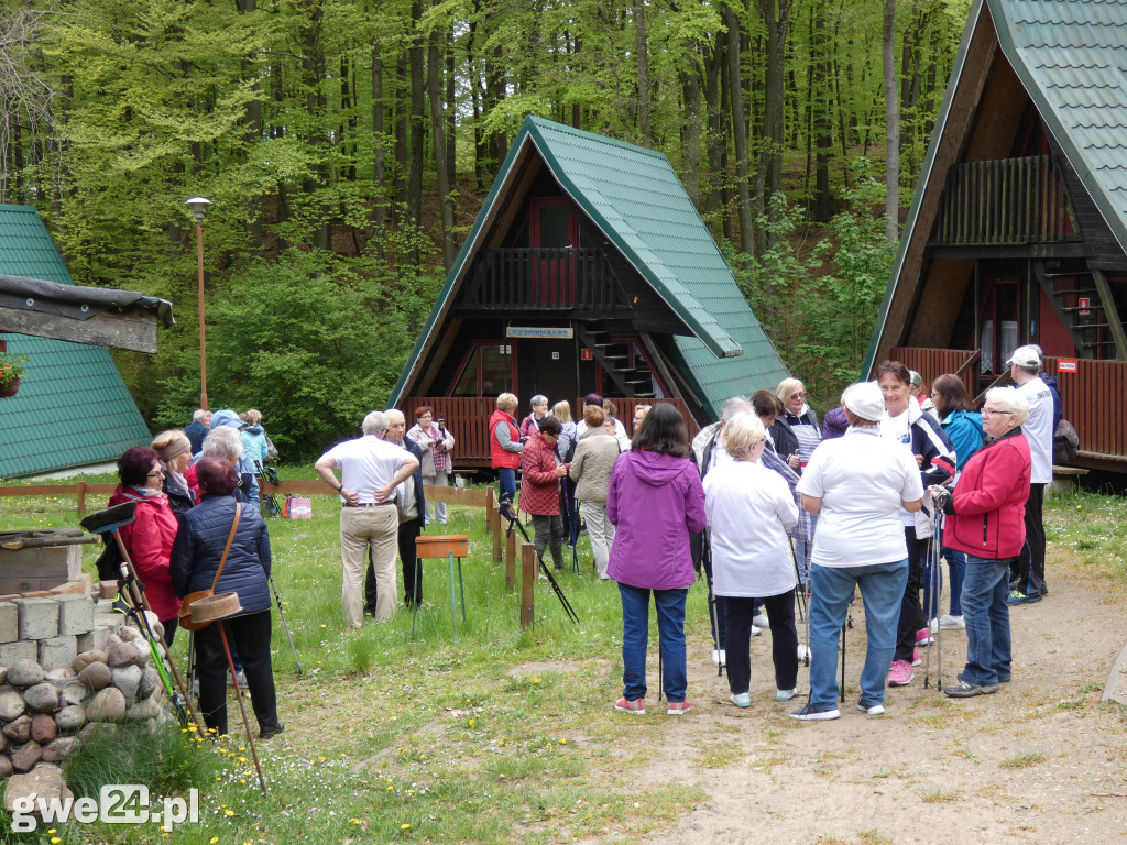 Marsz Nordic Walking Studentów UTW