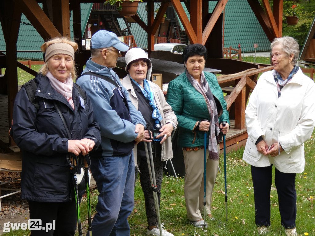 Marsz Nordic Walking Studentów UTW