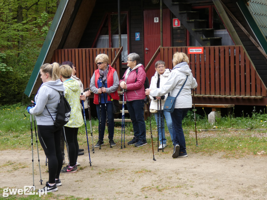 Marsz Nordic Walking Studentów UTW