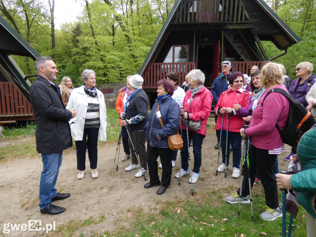 Marsz Nordic Walking Studentów UTW