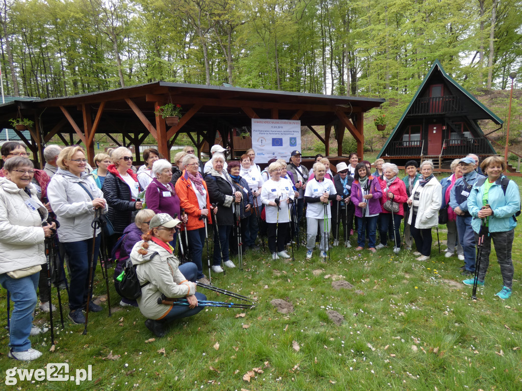 Marsz Nordic Walking Studentów UTW