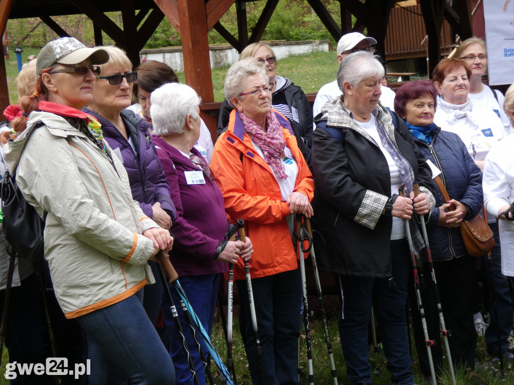 Marsz Nordic Walking Studentów UTW