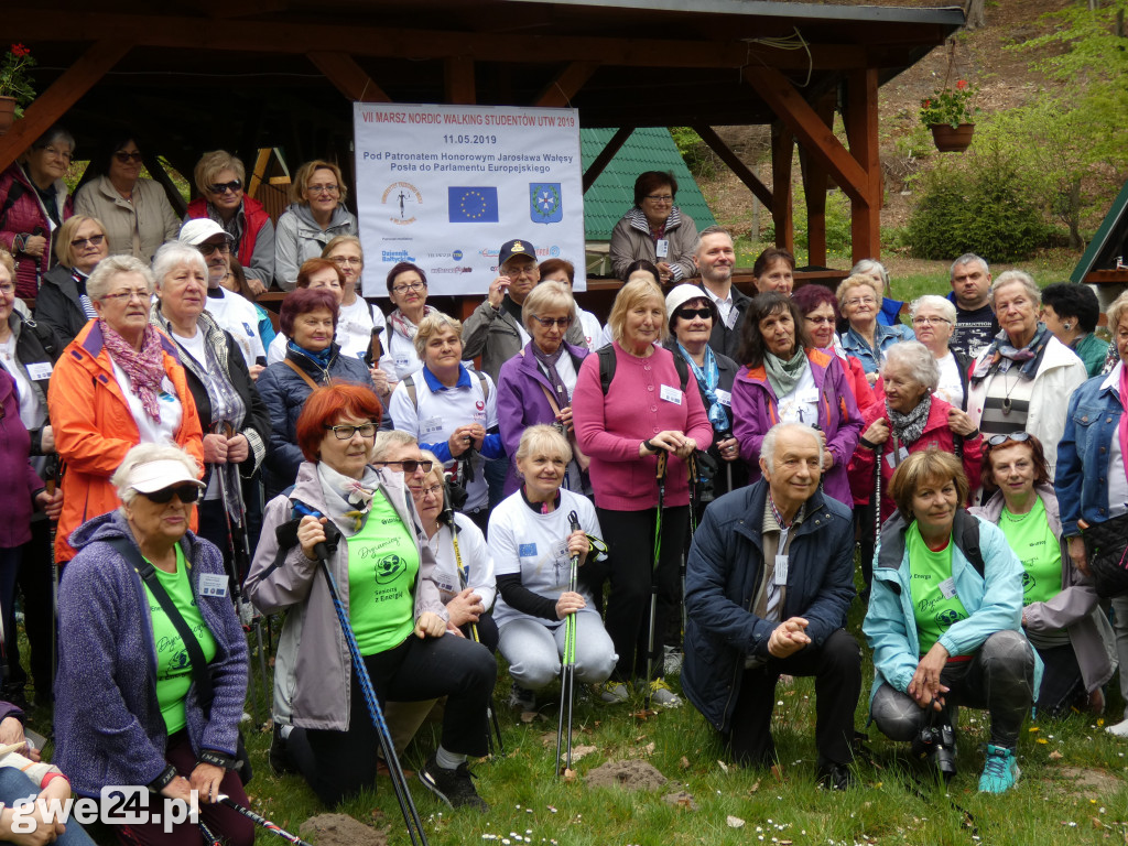 Marsz Nordic Walking Studentów UTW