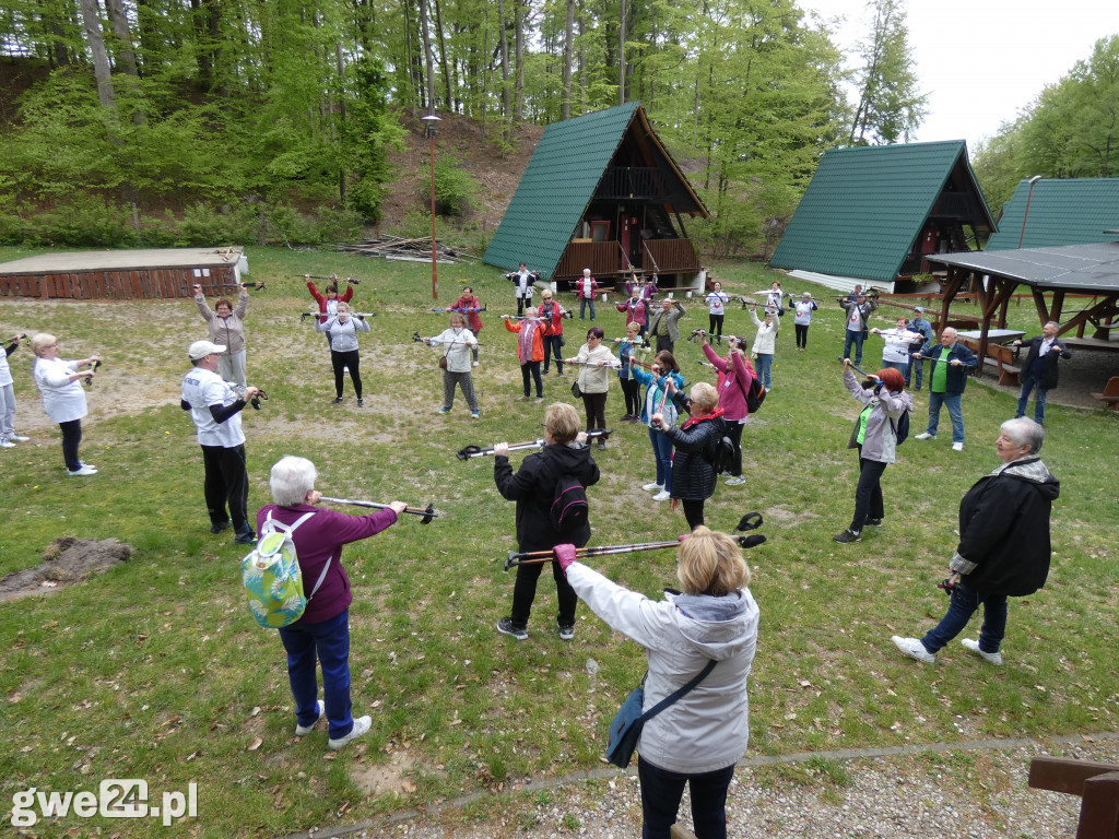 Marsz Nordic Walking Studentów UTW