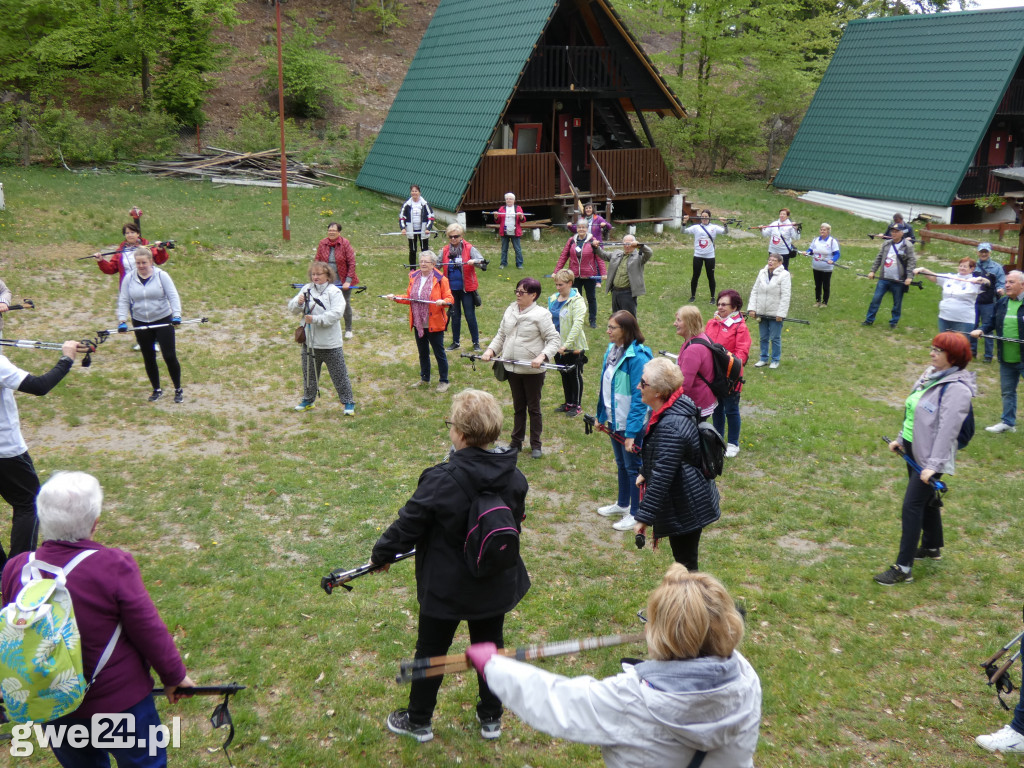 Marsz Nordic Walking Studentów UTW