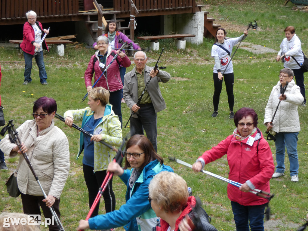 Marsz Nordic Walking Studentów UTW