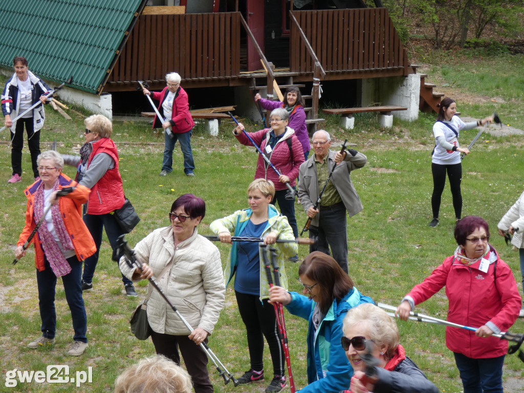 Marsz Nordic Walking Studentów UTW