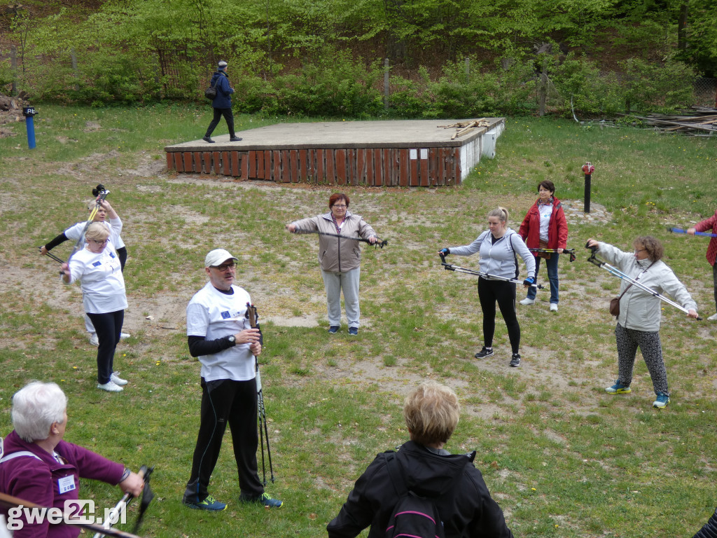 Marsz Nordic Walking Studentów UTW