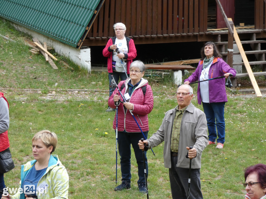Marsz Nordic Walking Studentów UTW