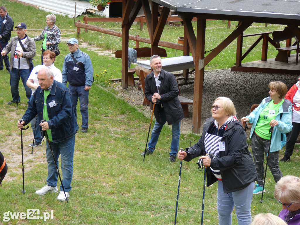 Marsz Nordic Walking Studentów UTW