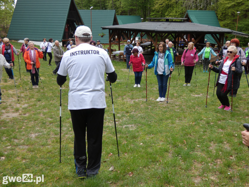 Marsz Nordic Walking Studentów UTW