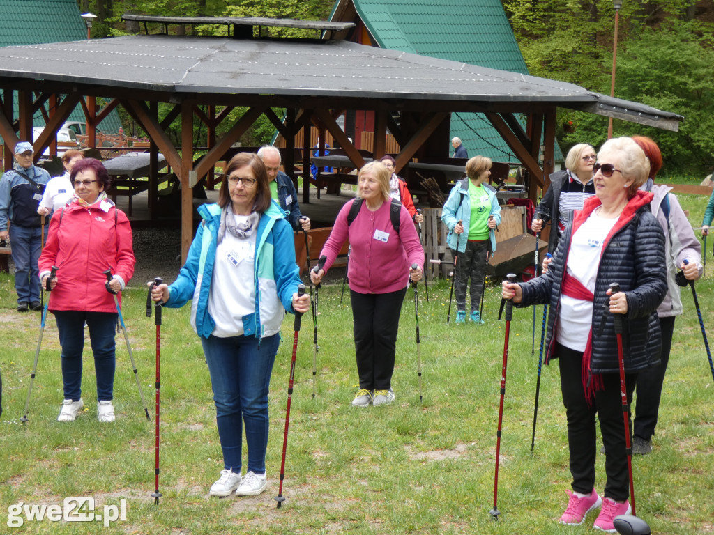 Marsz Nordic Walking Studentów UTW