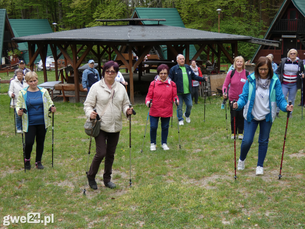 Marsz Nordic Walking Studentów UTW