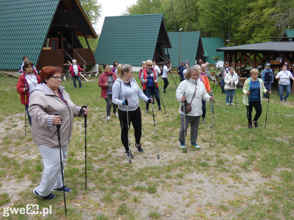 Marsz Nordic Walking Studentów UTW
