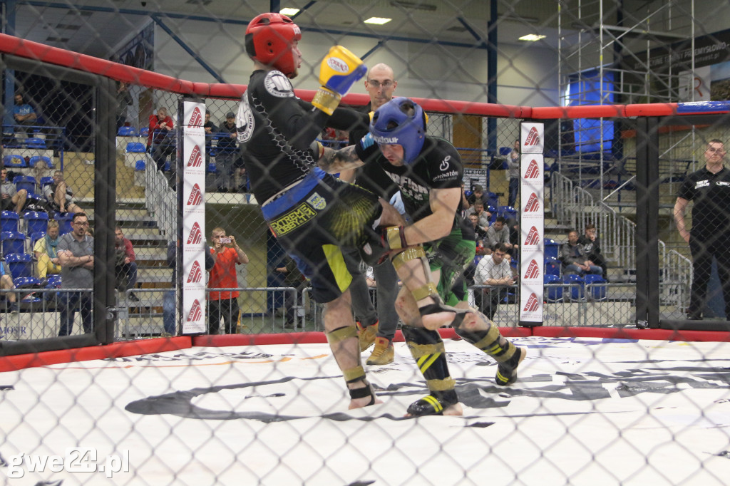 Amatorskie mistrzostwa MMA K1