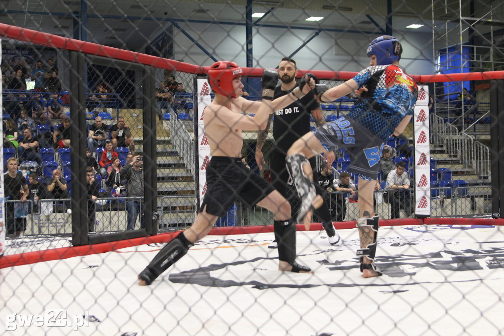 Amatorskie mistrzostwa MMA K1