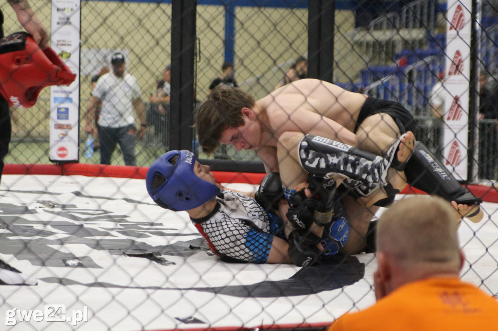 Amatorskie mistrzostwa MMA K1