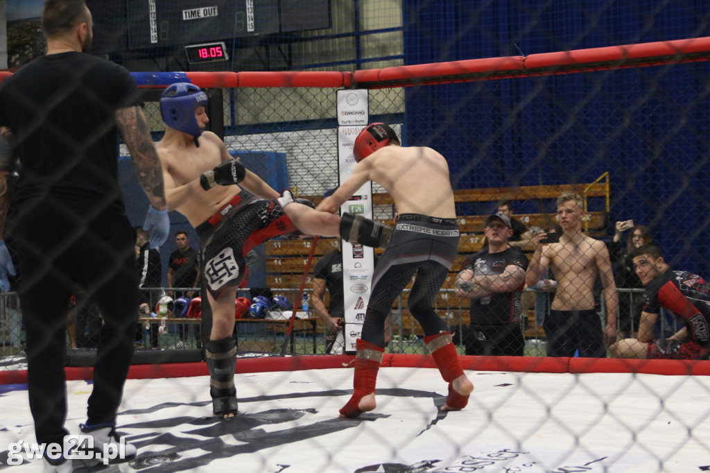 Amatorskie mistrzostwa MMA K1