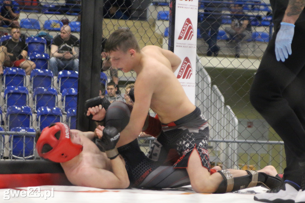 Amatorskie mistrzostwa MMA K1