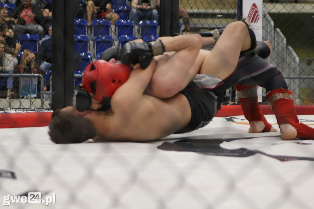Amatorskie mistrzostwa MMA K1
