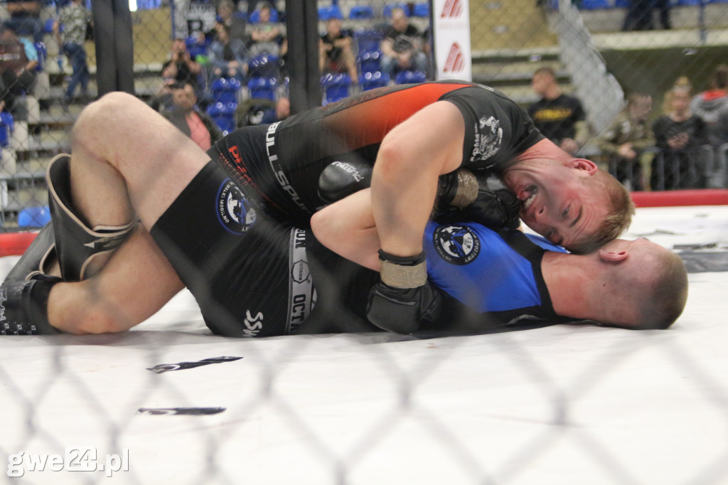 Amatorskie mistrzostwa MMA K1