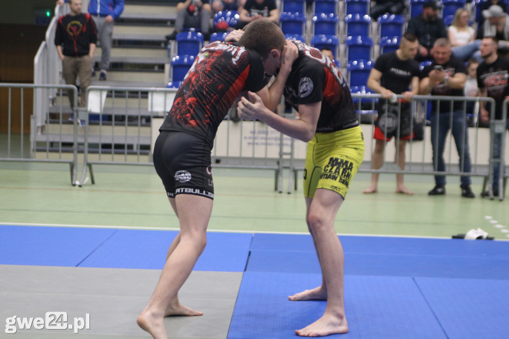 Amatorskie mistrzostwa MMA K1